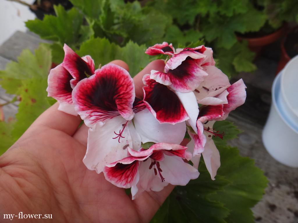 2015-06-25 09-41-16